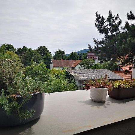 Spacy Apartment Next To The Center Of Graz With Terrasse Esterno foto