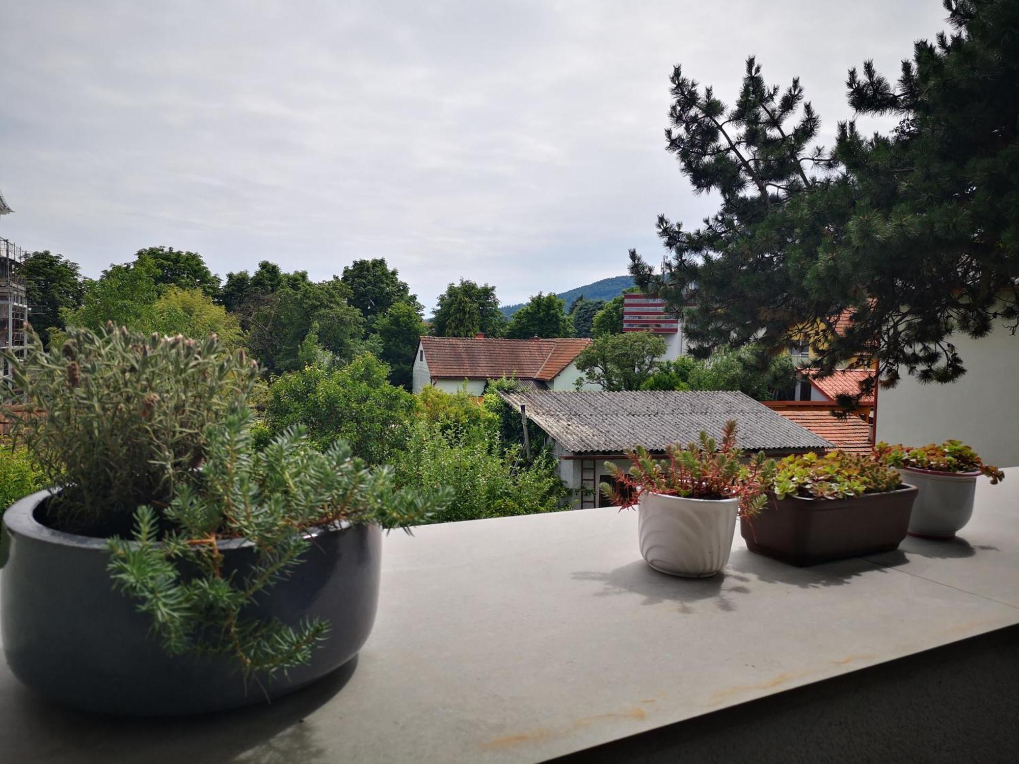 Spacy Apartment Next To The Center Of Graz With Terrasse Esterno foto
